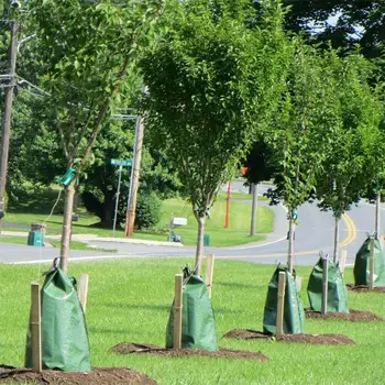 20 Galono Drevo Zalivanje Vrečko PVC Kapljično Namakanje Z Zadrgo Nastavljiv Počasno Sproščanje Rastlin, Temno Zelena Velik Vrt Pribor