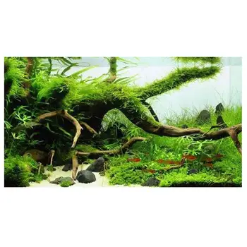 Vroče Prodaje 1pcs Les Naravni Trunk Driftwood Drevo Aquarium Fish Tank Obrat, Podružnico Dekoracijo Ornament Landscap Cvet Travo Dekor