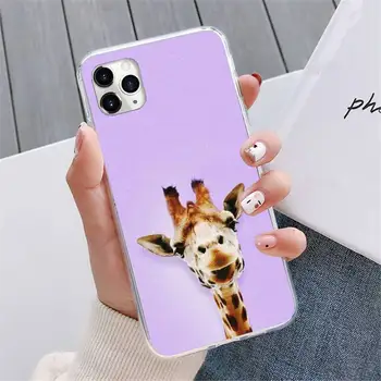 Živali, Zebra, Žirafa Tiskanja Primeru Telefon Za iphone 12 5 5s 5c se 6 6s 7 8 plus x xs xr 11 pro mini max