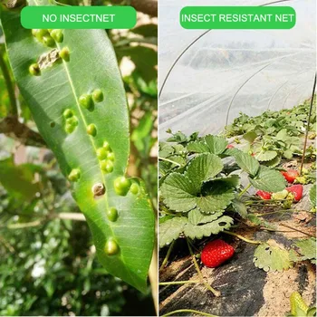 Insektov Varstvo Neto Vrt Zelenjave, Rastlinskih Zaščito Mreže 10m*2,5 m Rastejo Predor Fine Očesa Za Zelenjave Rastline Sadje