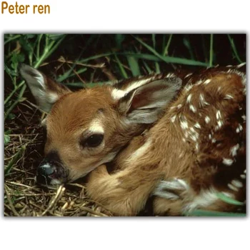 Peter ren Diamond slikarstvo navzkrižno šiv Živali 5d Kvadratnih\Krog mozaik Nosorogovo Polno vezenje Malo jelena dojenčke na travi