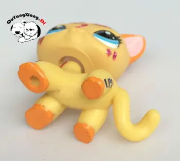 CWM009 Pet Shop Živali Kratke Lase Oranžno, Rumeno Zlato v prahu Mačka lutka akcijska Figura, mucek