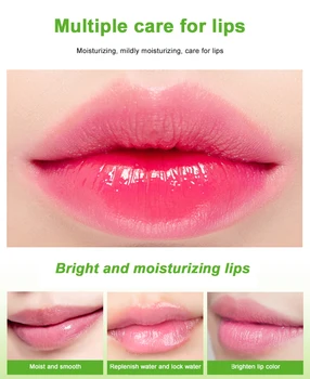 Vlage Balzam za Ustnice Dolgotrajno Naravni Rastlinski Šminka Anti Aging Proti gubam Anti-line Zimski Modni sredstvo za Nego Ustnic Šminka TSLM2