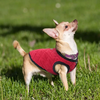 Oblačila za pse, Pozimi Toplo Pet Suknjič Psiček Obleko Pes Plašč Obleke za Majhne, Srednje Psi, Mačke Chihuahua Yorkshire francoski Buldog