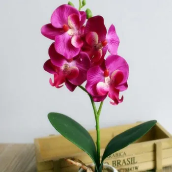 Ustvarjalne Cvetje Fancy Štiri Metulj Orhideja Mesnat Rastlin Bonsaj Cvet Urejanju Pribor L9
