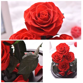 Večno Konzervirane Rose V Stekleno Kupolo 5 Cvet Glave Rose Večno Ljubezen, Poroka Korist Valentine Božična Darila za Ženske