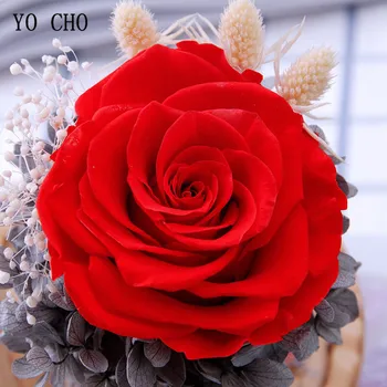 YO CHO Posušenih Cvetov Rose Eternelle Princ steklen Pokrov Sveže Konzervirane Vrtnice Cvet V Dome za Poročno Dekoracijo, Darilo za Ženo,