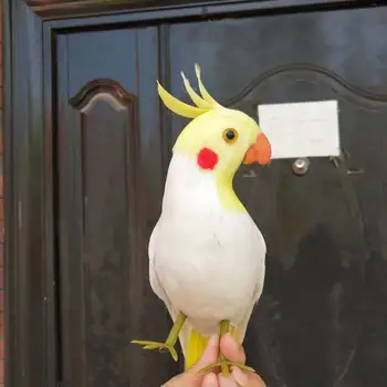 Srčkan resničnem življenju bela papiga model pene&feather simulacije obrnil ptica papiga darilo približno 32 cm xf2298