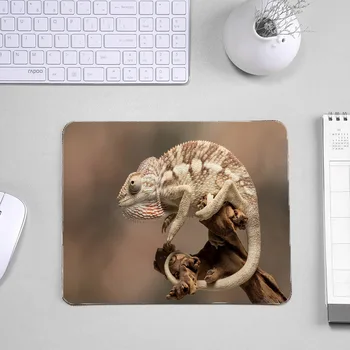Mairuige Kuščar Kameleon Lepoto Vzorec Tabela Mousepad, Da Okrasite Namizje in Za Računalniške Igre Igralec, Igralne Podloge za Miško