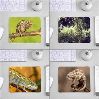 Mairuige Kuščar Kameleon Lepoto Vzorec Tabela Mousepad, Da Okrasite Namizje in Za Računalniške Igre Igralec, Igralne Podloge za Miško